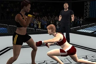 アンディスピューテッド MMA